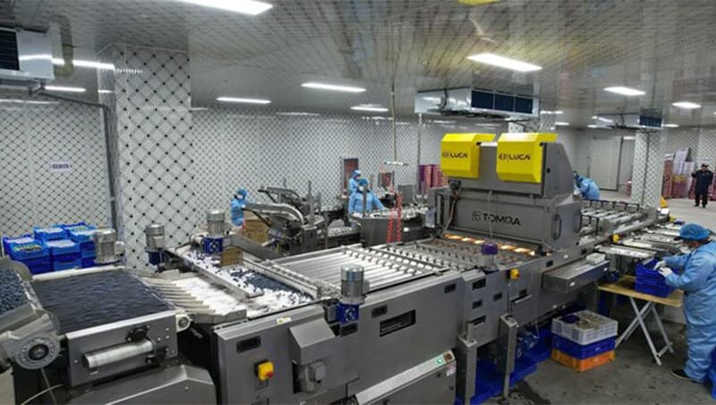 images/1711352615667tomra blueberry sorting machine.jpg